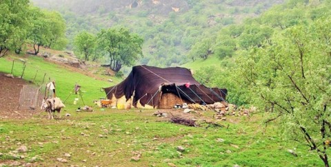 پارس پالت | پالت پلاستیکی در استان چهارمحال و بختیاری پارس پالت | پالت پلاستیکی در استان چهارمحال و بختیاری