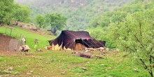 پارس پالت | پالت پلاستیکی در استان چهارمحال و بختیاری پارس پالت | پالت پلاستیکی در استان چهارمحال و بختیاری
